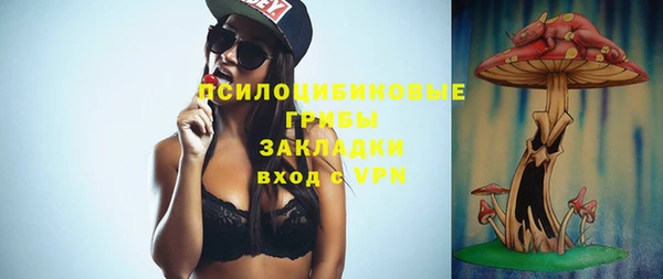 хмурый Алзамай