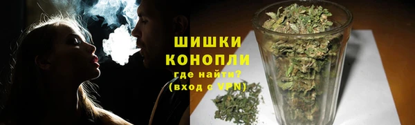 ПСИЛОЦИБИНОВЫЕ ГРИБЫ Абаза