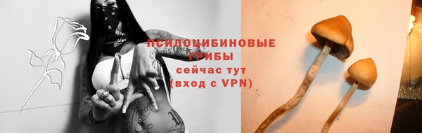 ПСИЛОЦИБИНОВЫЕ ГРИБЫ Абаза