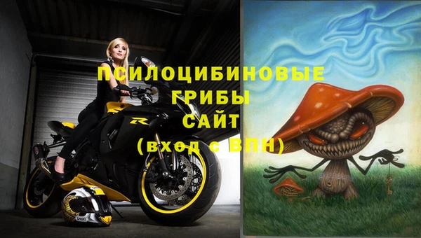 ПСИЛОЦИБИНОВЫЕ ГРИБЫ Абаза