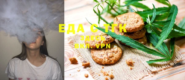 гашик Алексин