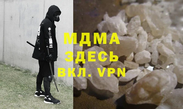 гашик Алексин